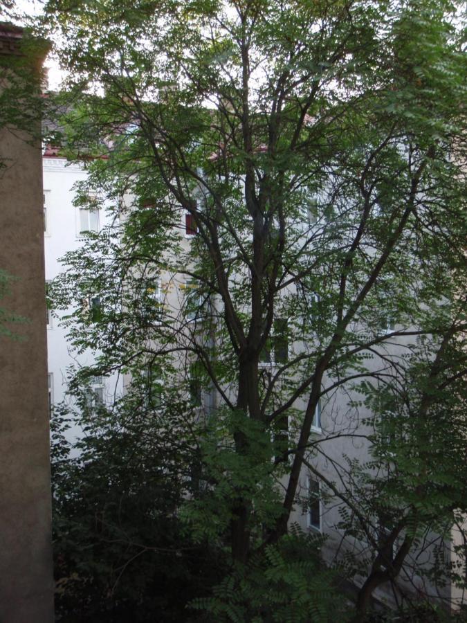 维也纳Augartenblick Penthaus 16公寓 外观 照片