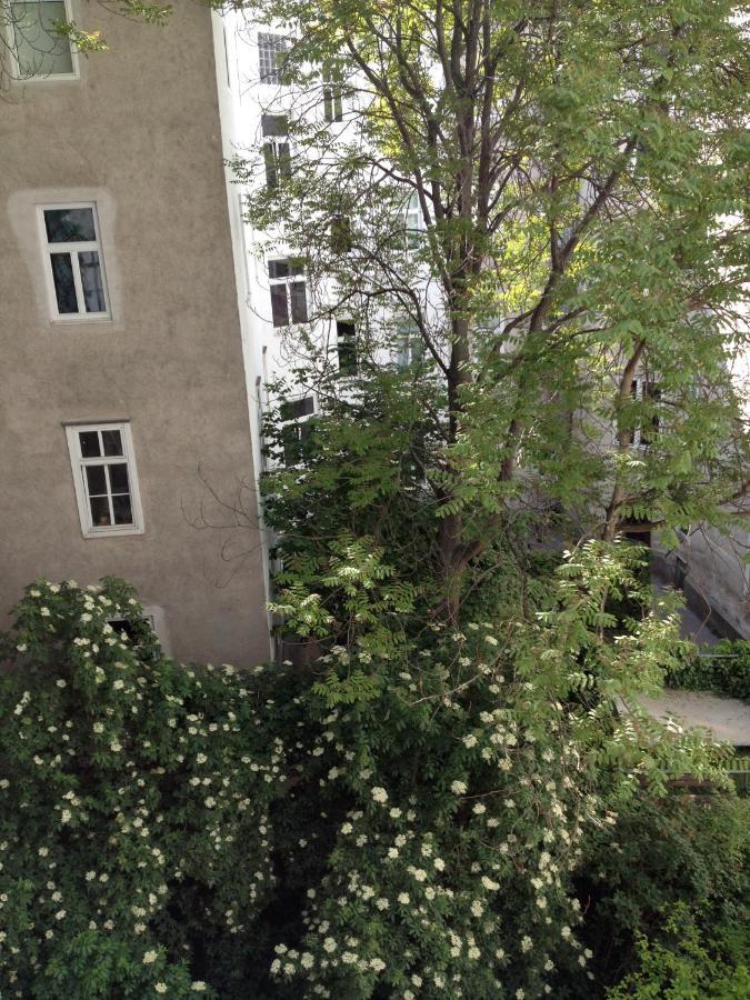 维也纳Augartenblick Penthaus 16公寓 外观 照片